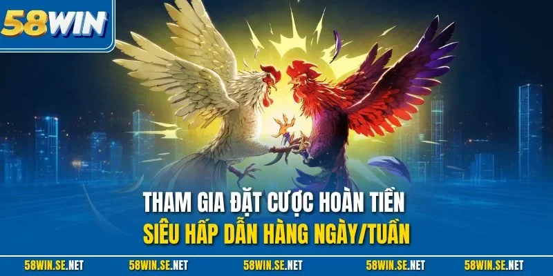 Tham gia đặt cược hoàn tiền siêu hấp dẫn hàng ngày/tuần