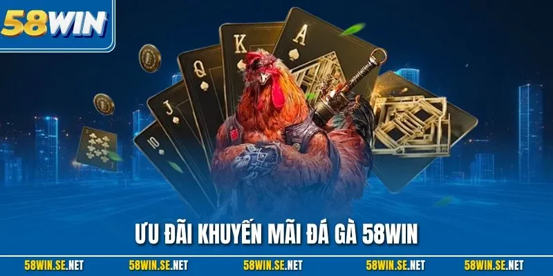 Ưu đãi khuyến mãi đá gà 58WIN